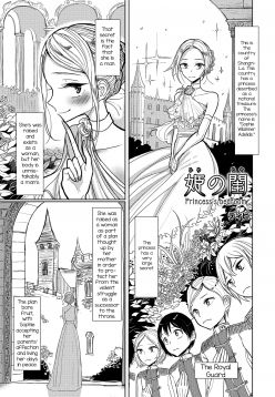 Hime no Neya -Princess's Bedroom- (Otokonoko HEAVEN Vol. 31)
