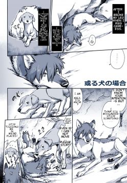 Aru Inu no Baai | A certain dog's situation (Ookami Kodomo no Ame to Yuki)