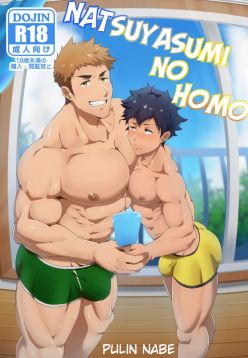 Natsuyasumi no Homo