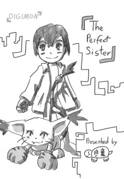 The perfect Sister (Digimon Adventure)