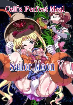 Sailor Moon V