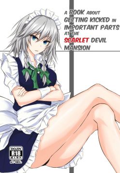 Koumakan de Daiji na Tokoro o Kerareru Hon | A book about getting kicked in important parts at the Scarlet Devil Mansion