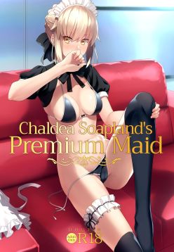 Chaldea Soap SSS-kyuu Gohoushi Maid | Chaldea Soapland's Premium Maid