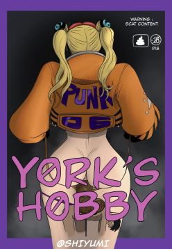 York’s Hobby