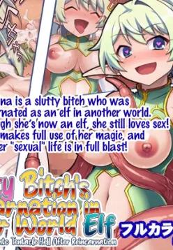 Nasty Bitch's Reincarnation in Another World Elf