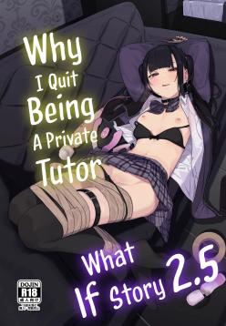 Dakara Boku wa Katei Kyoushi o Yameta If 2.5 | Why I Quit Being a Private Tutor - What If Story 2.5