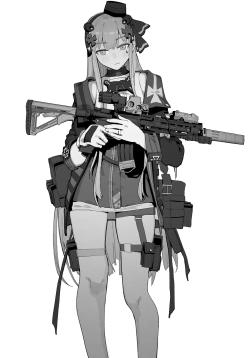 hk416 NTR series