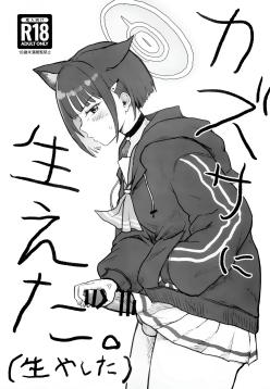 Kazusa ni Haeta.